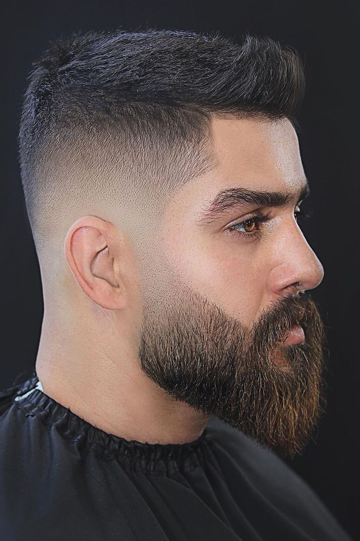 Barba Modelada